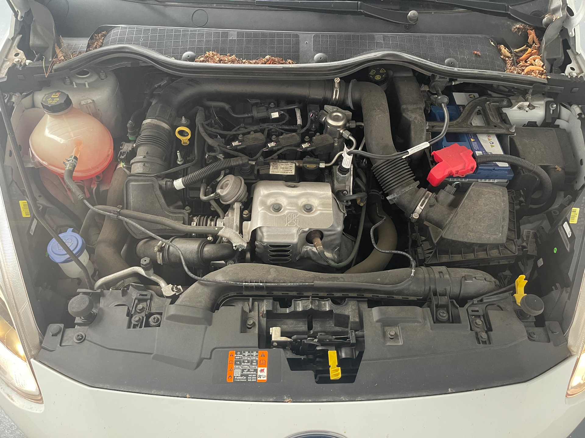 FORD FIESTA 1.0 EcoBoost 100 ch S&S BVA6 Titanium